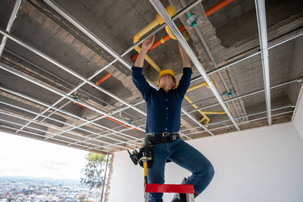 Best Plumbing Inspection Services  in Eaton, CO