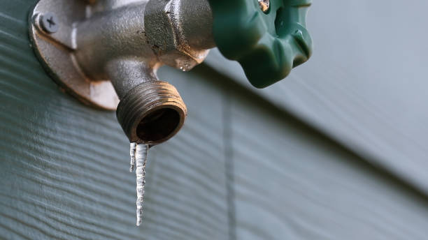 Best Leak Detection Services  in Eaton, CO